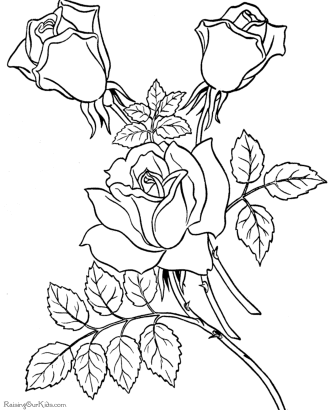 coloring pages of hearts and roses. Valentine roses coloring sheet