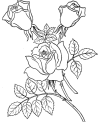 Valentine roses coloring sheet